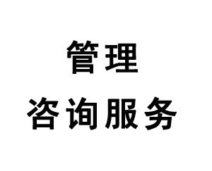 管理咨詢服務(wù)